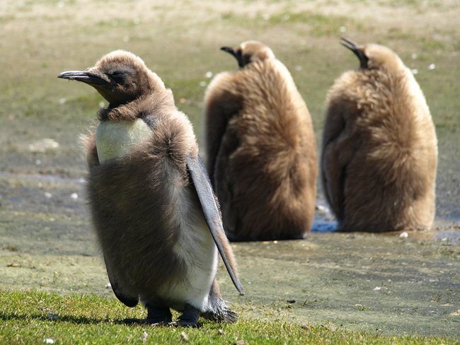 ../../Pictures/241209/041 Koenig.JPG